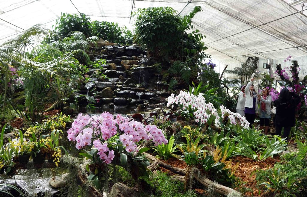 Visitors in the Orchid House
