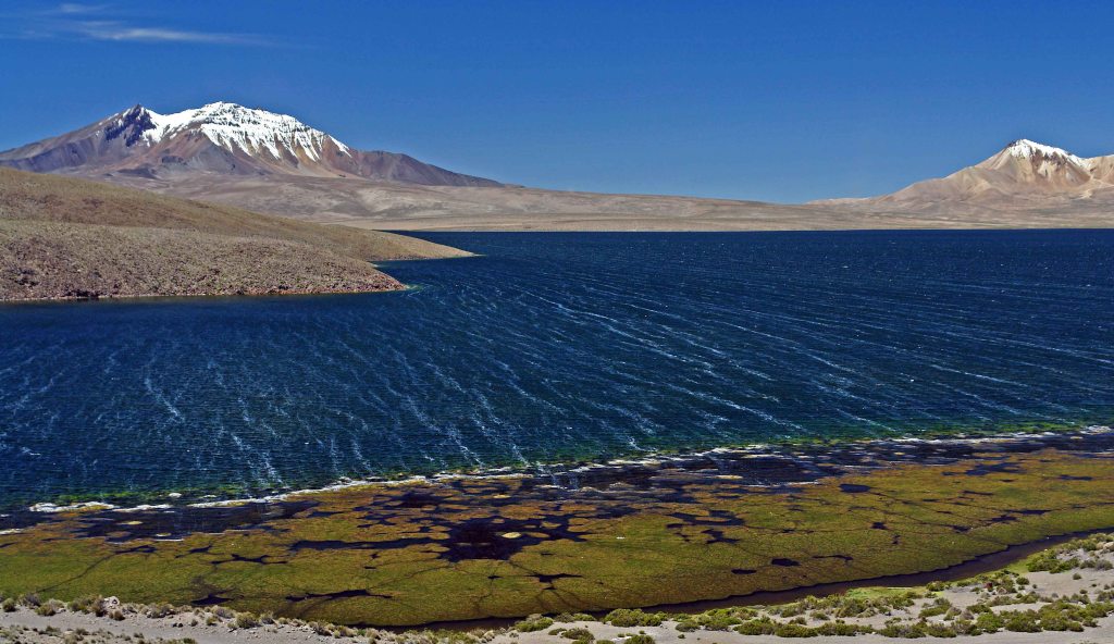 Lake Chungara on a windy day