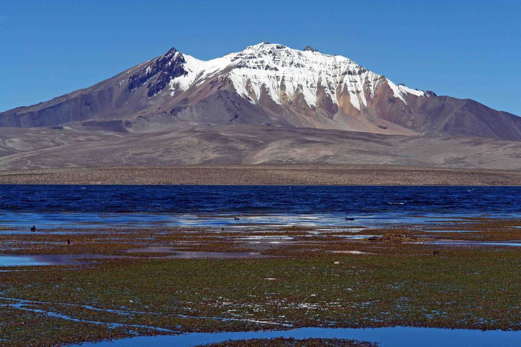 Lauca National Park
