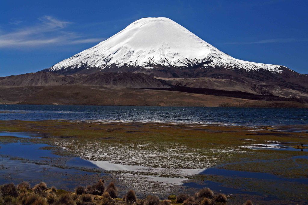  Parinacota volcano from lake Chungara 