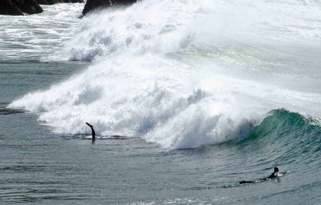 Surfing at Esterio beach