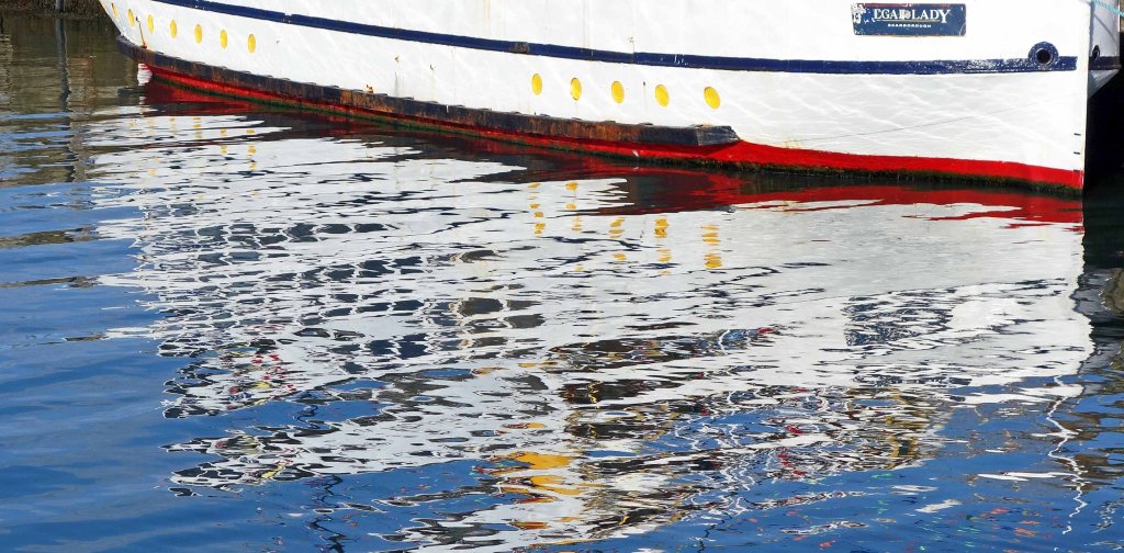 Regal Lady reflection in more detail, i.e. cropped