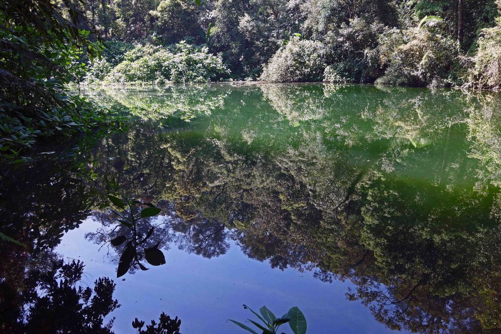 The Blue Lake, Telaga Biru (1,575 m), Mount Gede Pangrango National Park