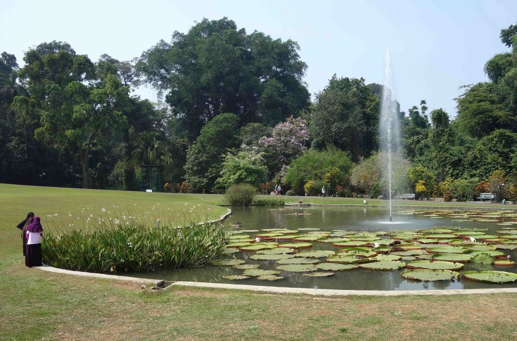 Wandering after Wallace: Bogor Botanical&nbsp;Gardens