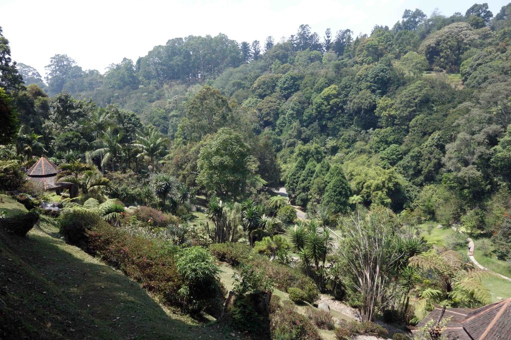 Cibodas Botanical Gardens