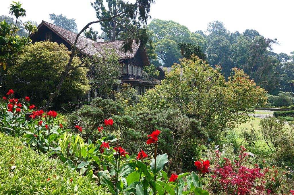 Wandering after Wallace: Cibodas Botanical&nbsp;Gardens