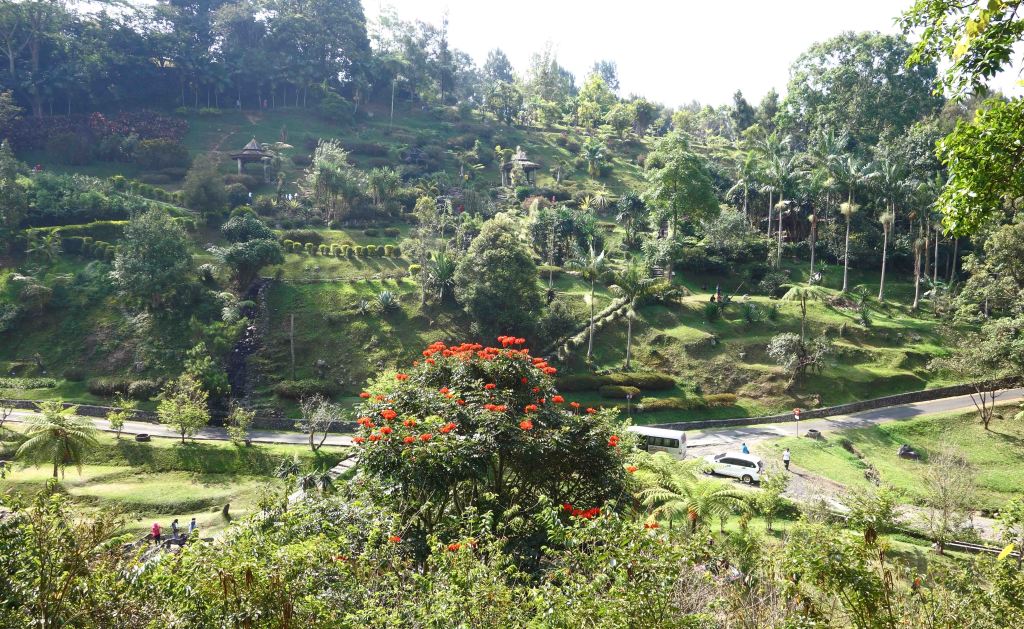  Cibodas Botanical Garden