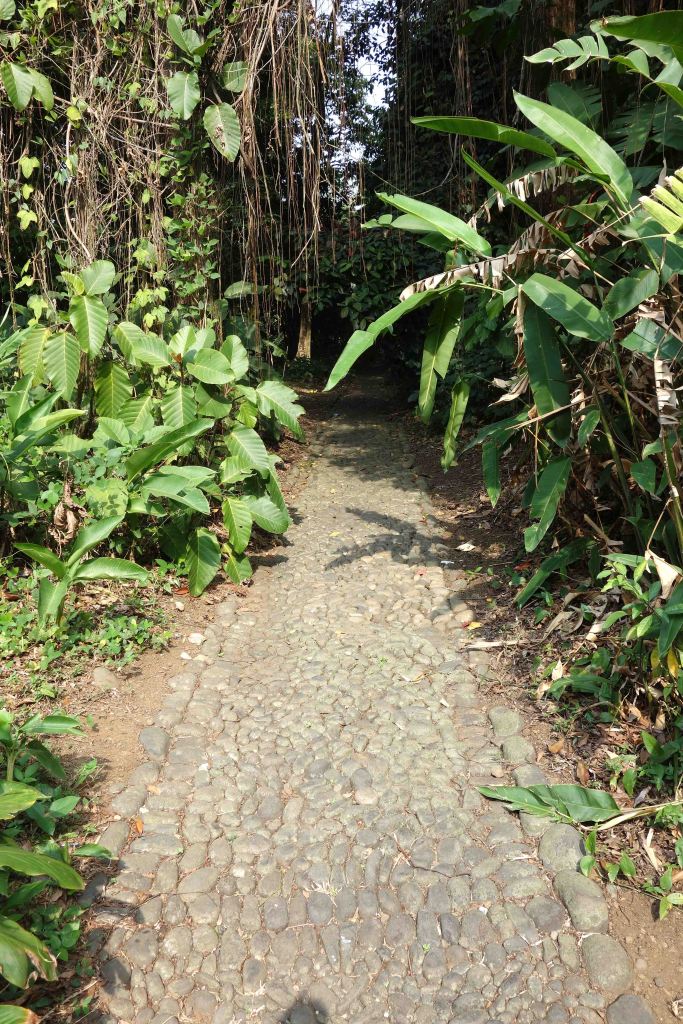 Cobbled, or pebbly, paths in Bogor Botanical Gardens