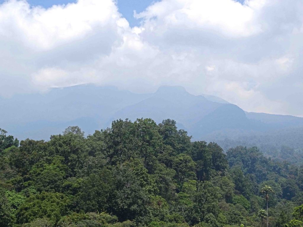 Mount or Gunung Gede (2,958 m) 