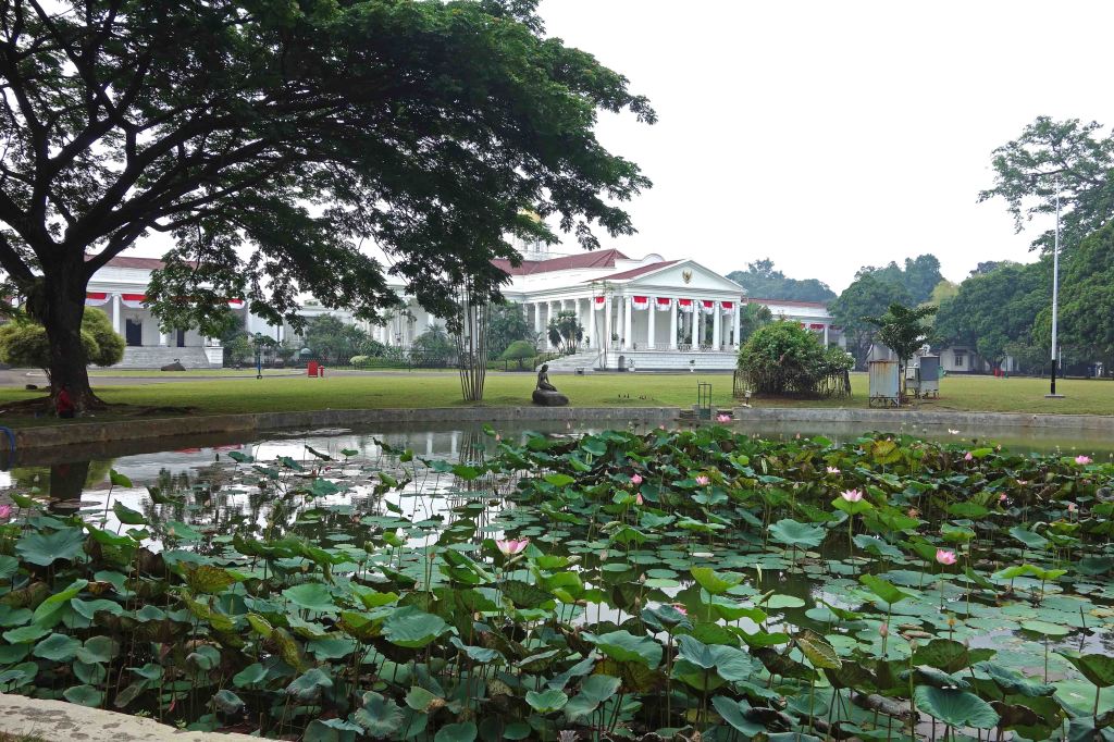 Lily (lotus) pond with the Istana Palace in background, Bogor Botanical gardens