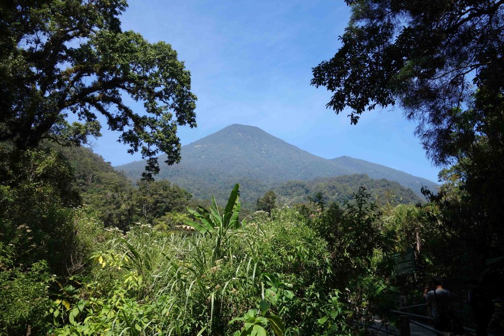 Mount Pangrango (3,019m)