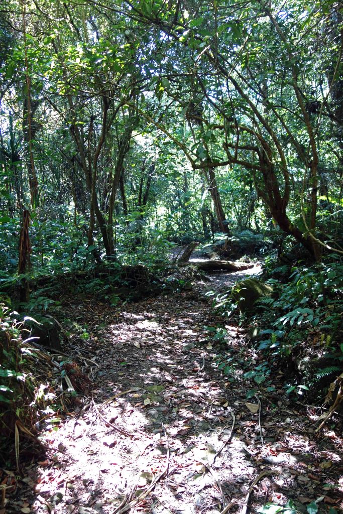 Start of the trail to Gunung Gede