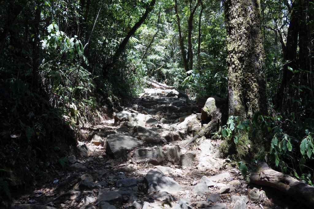 Steep, rocky trail which begins after the waterfall turning