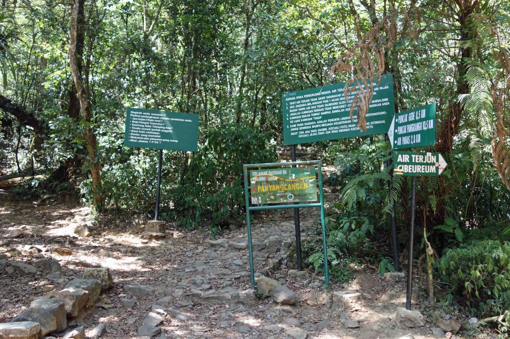 Trail to Cibeureum Waterfall, Gunung Gede Pangrangro National Park, Java.