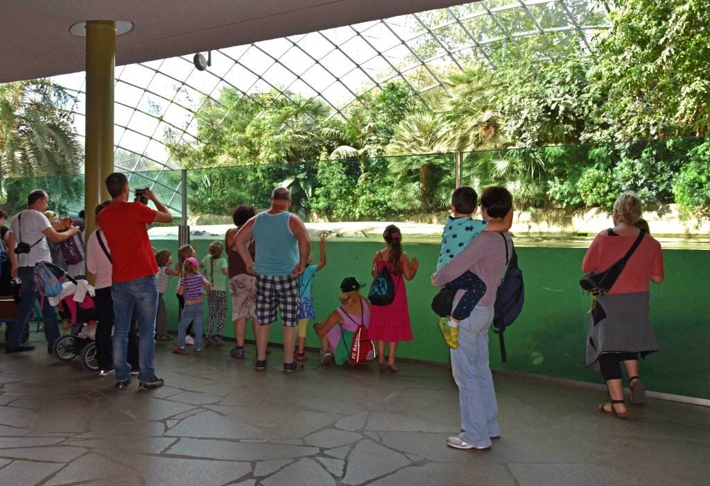 The hippo tank Berlin Zoo