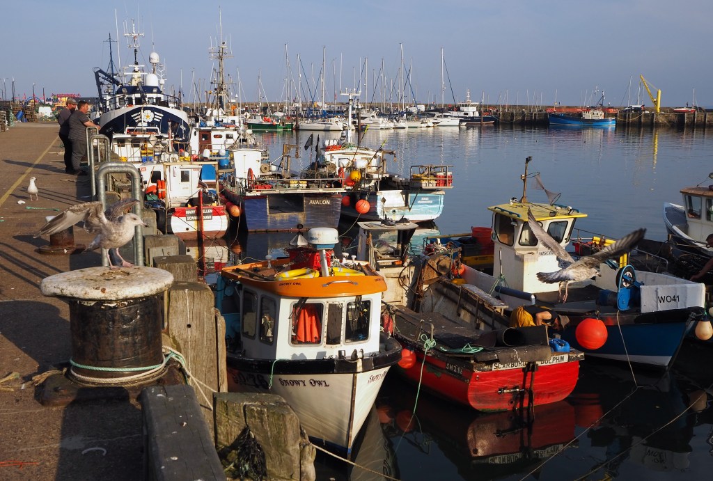 A travel blog on&nbsp;Scarborough