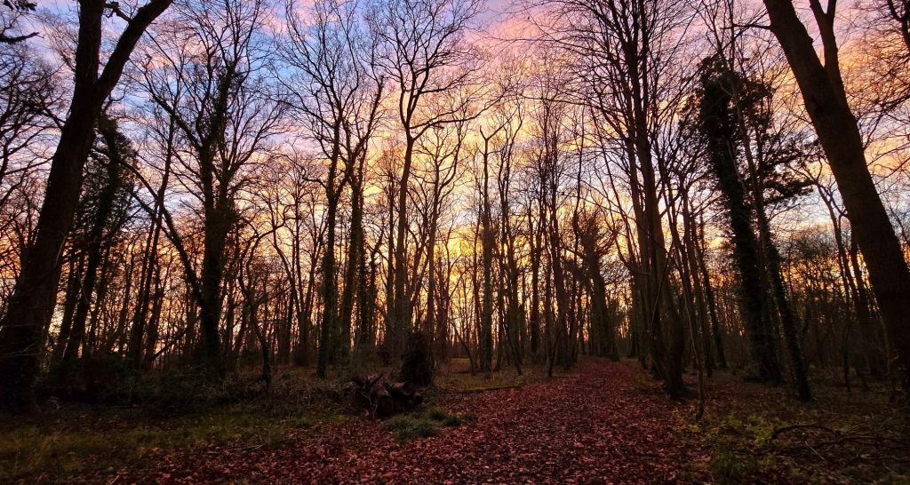 A short essay after walking along a country&nbsp;road🤣